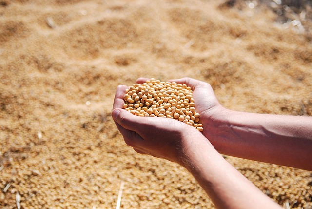 Discover the Versatility of Sorbitol Solution by Bluecraft Agro